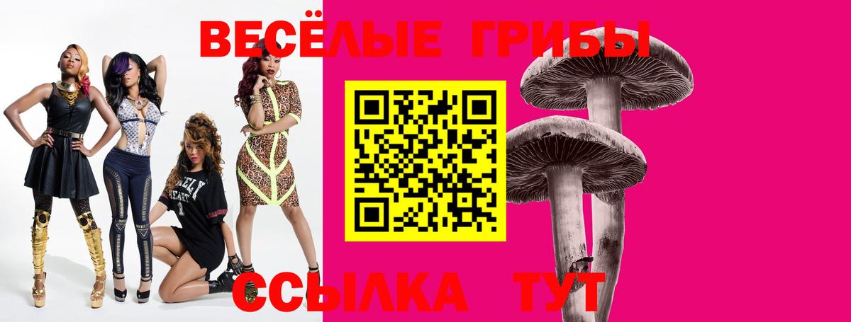 Псилоцибиновые грибы Psilocybe  Вход с VPN  Галлюциногенные грибы мицелий  Ноябрьск 